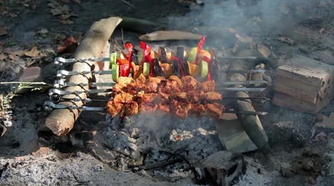 Barbecue on the fire Stock Footage 55820164