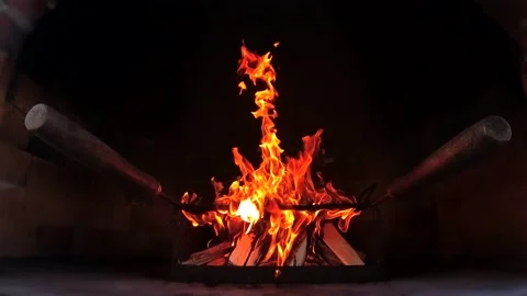 Barbecue fire Stock Footage 172546721