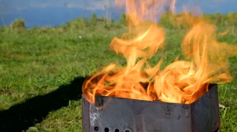 Barbecue fire nature Stock Footage 63431480