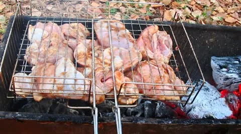 Barbecue Видео 8851758