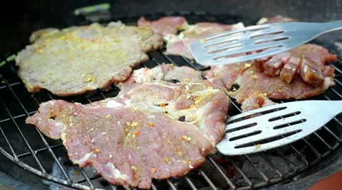 Barbecue Stock Footage 11314137