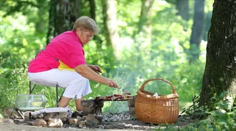 Barbecue Video stock 24638703