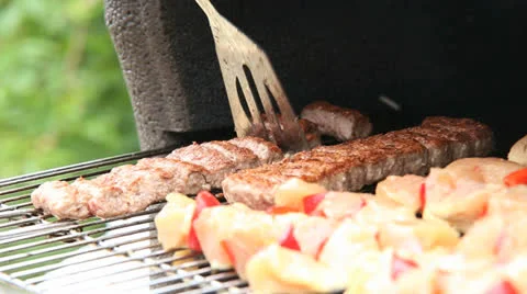 Barbecue Stock Footage 25491113