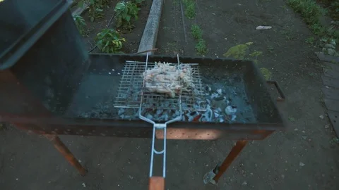 Barbecue Stock Footage 95287591