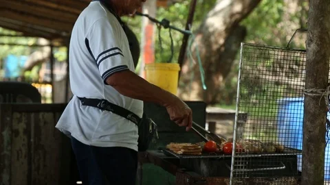 Barbecue Stock Footage 100855037