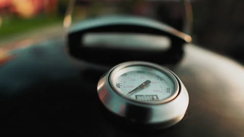 Barbecue 库存影片 131663349