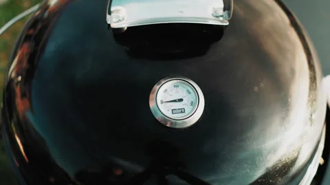 Barbecue 库存影片 131663755