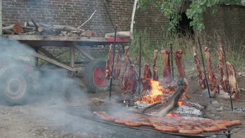 Barbecue Stock Footage 172226662