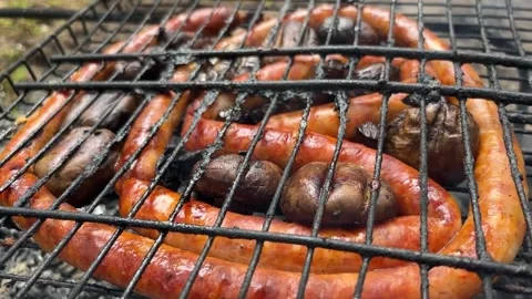 Barbecue Stock Footage 294112494