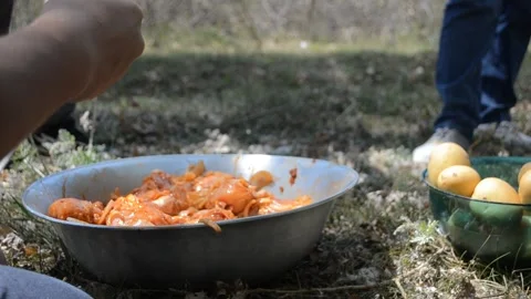 Barbecue in the forest. The pot is full of kebabs and potatoes Stock Footage 120831787