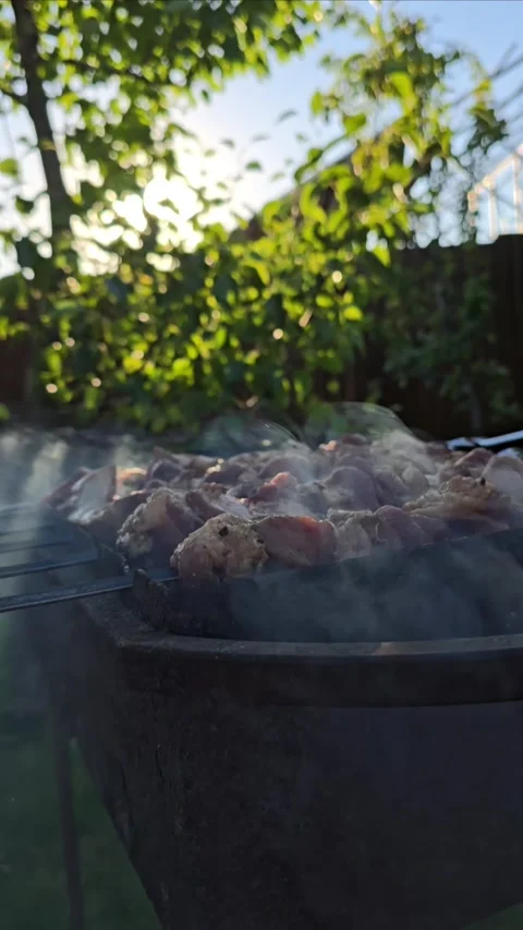 Barbecue in the garden Stock Footage 299385383