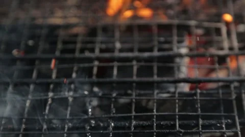 Barbecue grill on coals and fire. Picnic in nature with a fire. Stock Footage 116548533