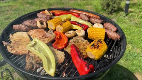 Barbecue Grill Feast Stock Footage 310494157
