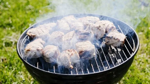 Barbecue Grill with Fire on Nature Stock Footage 107500323