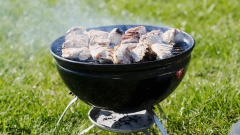 Barbecue Grill with Fire on Nature Stock Footage 107500768