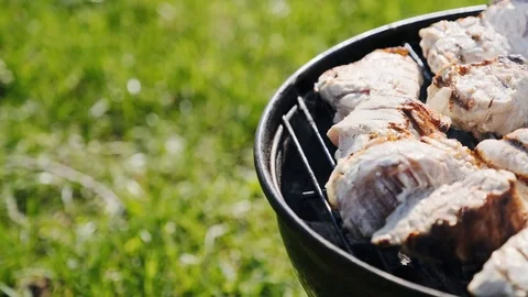 Barbecue Grill with Fire on Nature Stock Footage 107501225