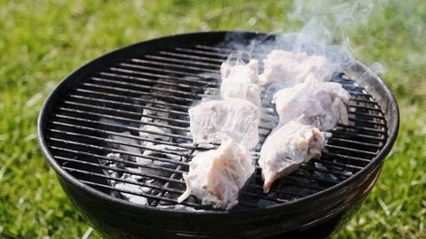 Barbecue Grill with Fire on Nature Stock Footage 107501919