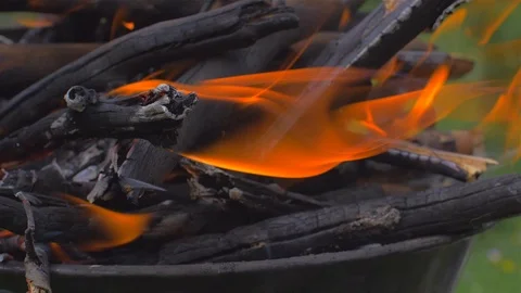 Barbecue grill with fire. On nature, outdoor, close up 動画素材 109553053