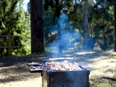 Barbecue grill with fire Stock Photos