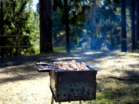 Barbecue grill with fire Stock Photos