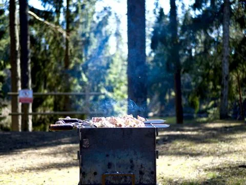 Barbecue grill with fire Stock Photos