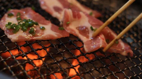 Barbecue Grill Stock Footage 36596001