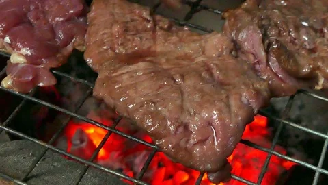 Barbecue on the grill. Stock-Footage 75510917