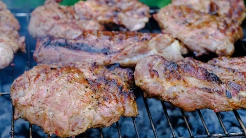 Barbecue on the grill. Stock Footage 89875186