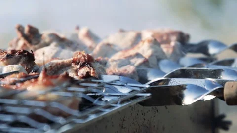 Barbecue on the grill Stock Footage 100157965
