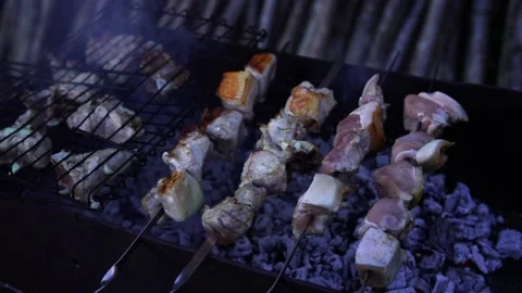 Barbecue on the grill Stock Footage 152528906