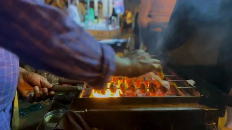 Barbecue Grill Stock Footage 239644811