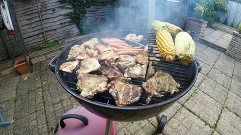 Barbecue grill, preparing meat for a picnic in the yard in Kingston, London Stock Footage 79926994