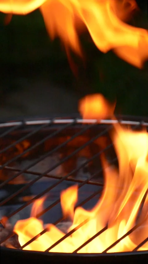 Barbecue grill, vertical slow motion burning fire flame, bbq picnic in backyard Stock Footage 270687528