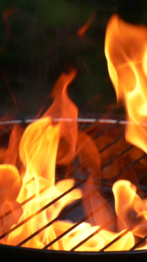 Barbecue grill, vertical slow motion burning fire flame, bbq picnic in backyard Stock Footage 271479238