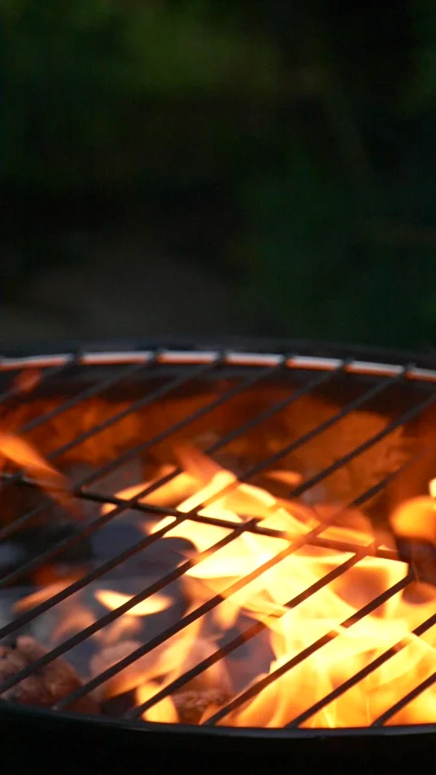 Barbecue grill, vertical slow motion burning fire flame, bbq picnic in backyard Stock Footage 272735204