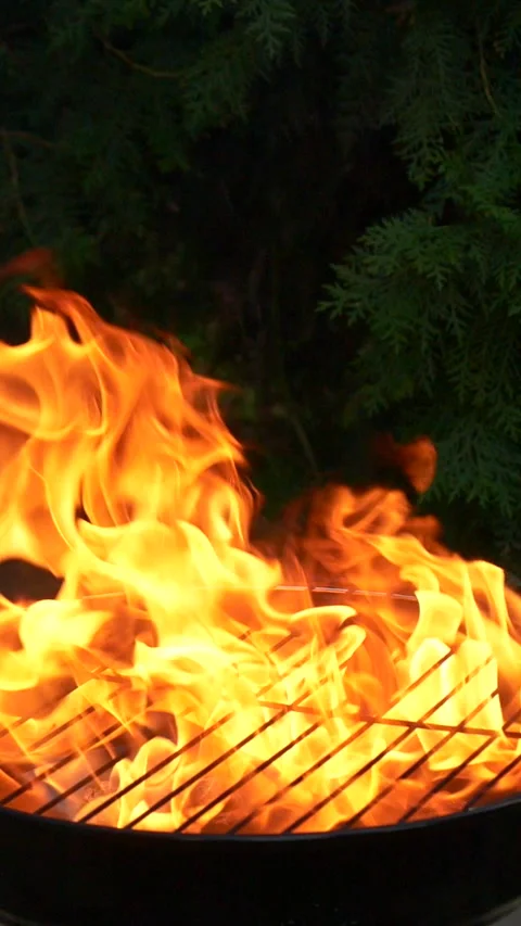 Barbecue grill, vertical slow motion burning fire flame, bbq picnic in backyard Stock Footage 274045347