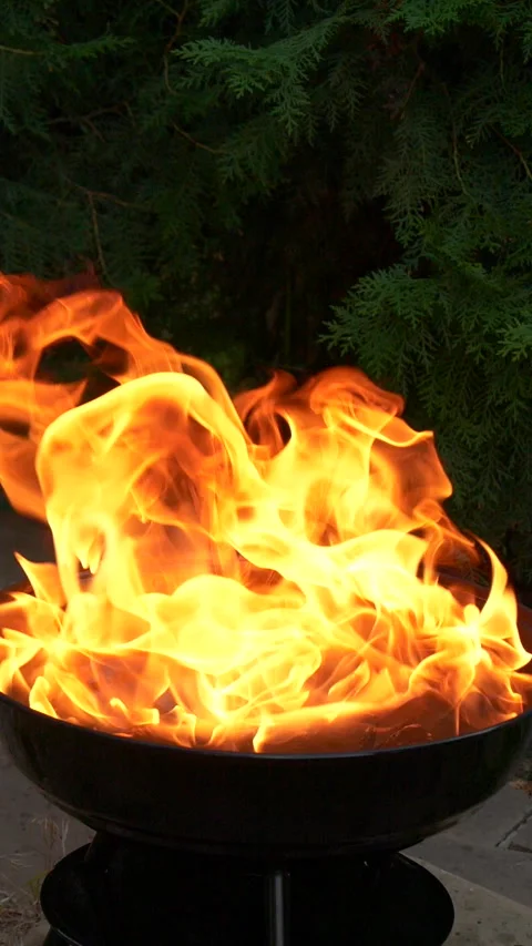 Barbecue grill, vertical slow motion burning fire flame, bbq picnic in backyard Stock Footage 274045361