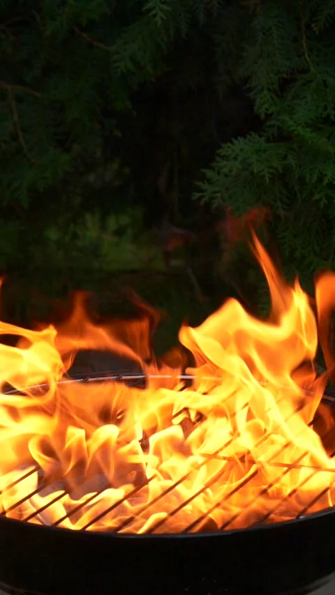 Barbecue grill, vertical slow motion burning fire flame, bbq picnic in backyard Video stock 274465671