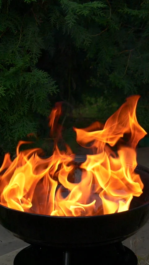 Barbecue grill, vertical slow motion burning fire flame, bbq picnic in backyard Stock Footage 275877088