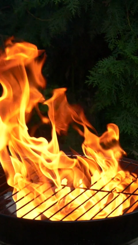 Barbecue grill, vertical slow motion burning fire flame, bbq picnic in backyard Stock Footage 277249937