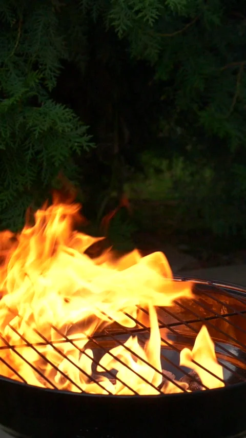 Barbecue grill, vertical slow motion burning fire flame, bbq picnic in backyard Stock Footage 278854880