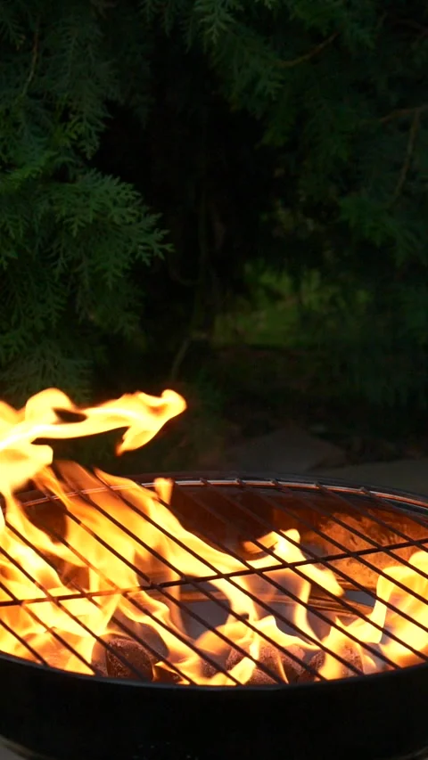 Barbecue grill, vertical slow motion burning fire flame, bbq picnic in backyard Stock Footage 279963746