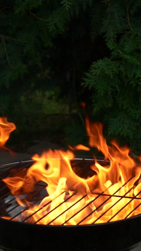Barbecue grill, vertical slow motion burning fire flame, bbq picnic in backyard Stock Footage 280375317