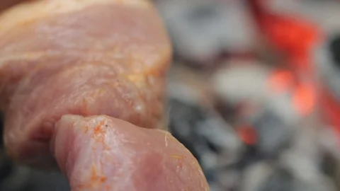 Barbecue on the grill.camping Stock Footage 99977378