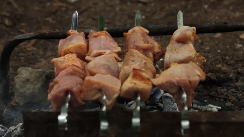 Barbecue on the grill.camping.Meat Stock Footage 99978886