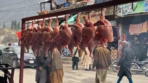 Barbecue Grilled Chicken and Beef Kabab Traditional Food. Stock Footage 197014899