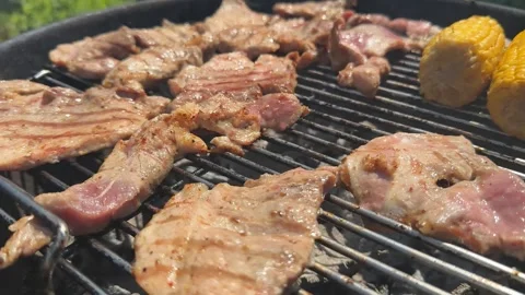 Barbecue Grilled Feast Stock Footage 311657953