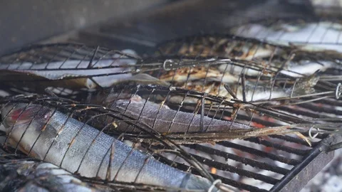  	barbecue grilled fish Stock Footage 88699121