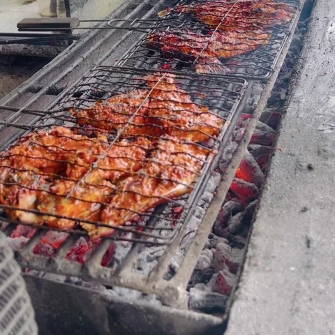 Barbecue Grilled Fish on an Open Charcoal Flame Outdoor Setup Stock Footage 295258211