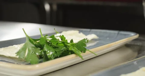 Barbecue kebab side dish. Chef serves plate with fresh sliced onion. Parsley Stock Footage 275655075